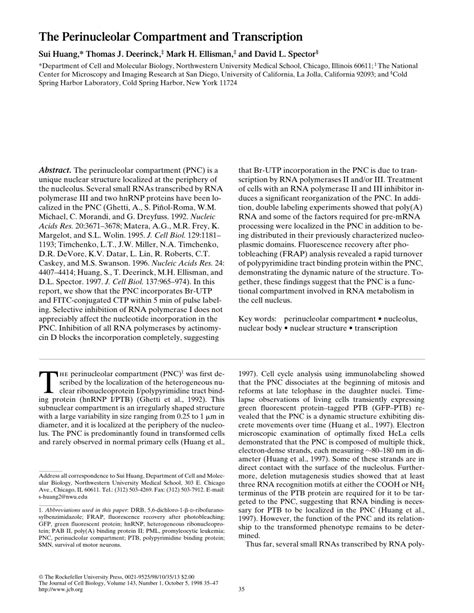 pnc protein|The Perinucleolar Compartment and Transcription .